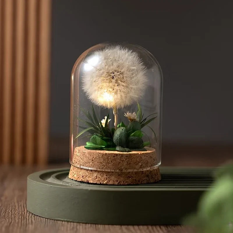 Dried flower night light, glass dome, view 5