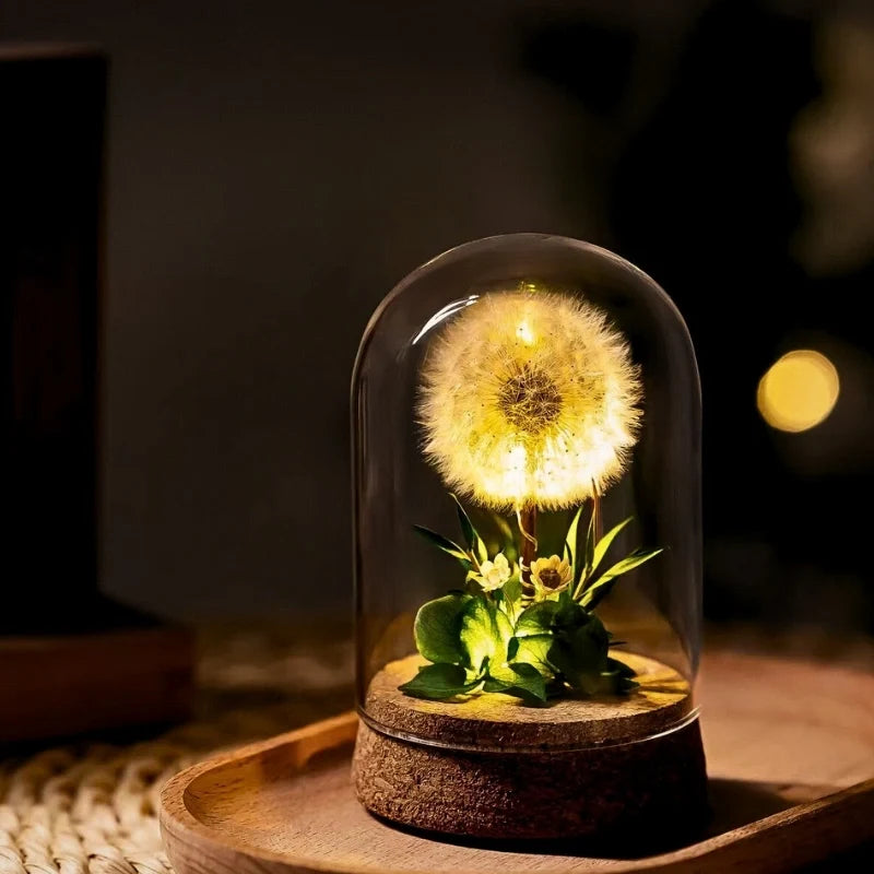 Dried flower night light, glass dome, view 8